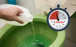 como desentupir vaso sanitario com candida